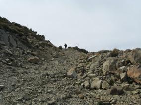 Hiking Up Mt Fyffe