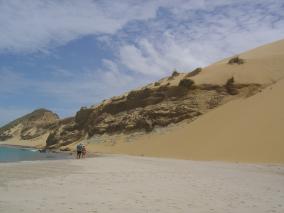 Hokianga Sand Dunes