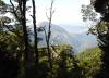 Kahurangi National Park