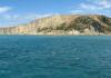 Kaikoura Dusky Dolphins