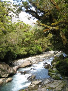 Kepler Track River