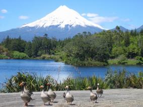 Mt. Taranaki from Lake Mangamahoe