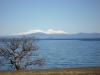 Lake Taupo