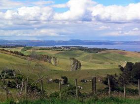 Lovely Lake Taupo Landscape