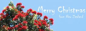 Merry Christmas from New Zealand