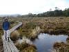 Mt Ruapehu Base Walk