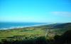 Muriwai Beach Landscape