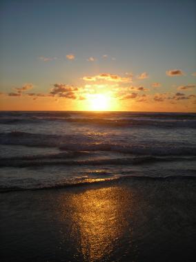 Sunsets at Muriwai Beach