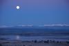 Nelson Full Moon