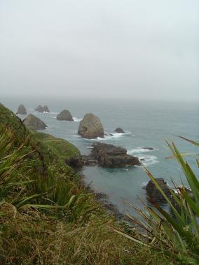 Nugget Point