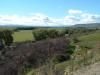 Otago Central Landscape