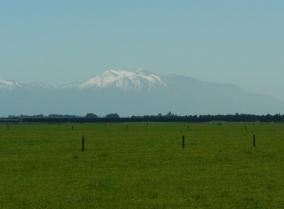 Nice Otago View