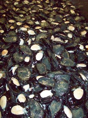 Paua