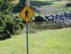 Pedestrian Sign