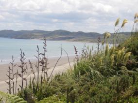 Raglan Coastline
