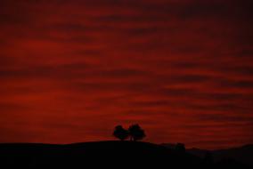 Red Sky At Night