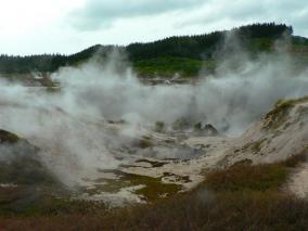 Rotorua Craters