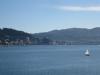 Sailing in Oriental Bay