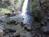 Seal pups playing in Ohau Waterfall