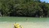 Swimming in the Abel Tasman National Park