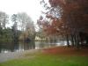 Waikato River in Autumn