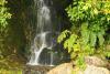 Waterfall in the Bush