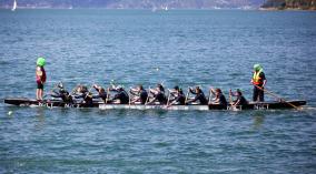 Wellington Dragon Boat Festival