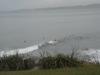 Raglan's Whale Bay Surfers