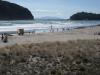 Whangamata Surf