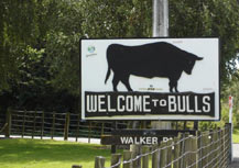 Welcome to Bulls