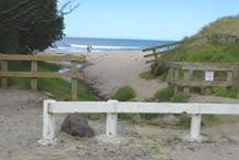 Coromandel Beach