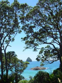 The beautiful Coromandel