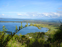 Taupo Taupo